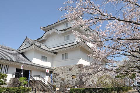 桜の大多喜城画像