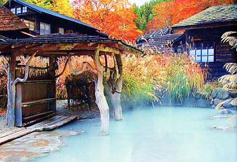 鶴の湯混浴露天風呂画像