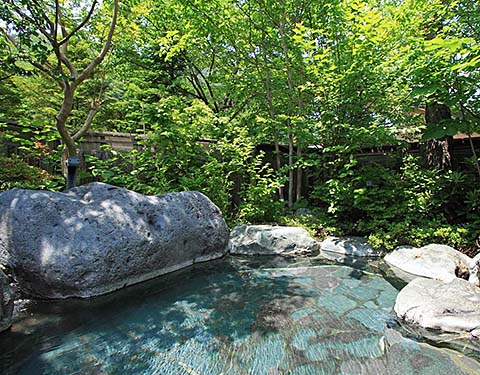 梅田屋旅館 新緑の露天風呂画像