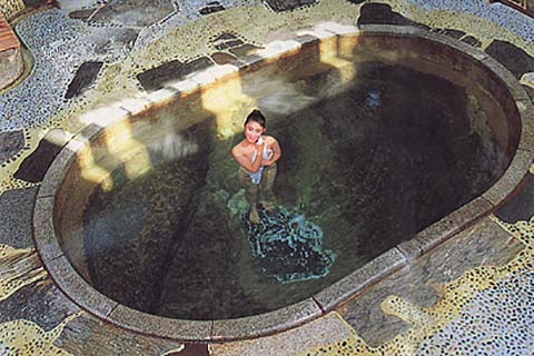 鉛温泉藤三旅館白猿の湯画像