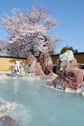 金太郎温泉露天風呂と桜画像