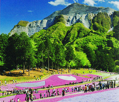 武甲山と羊山公園画像