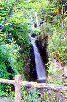 梅ヶ島三段の滝画像