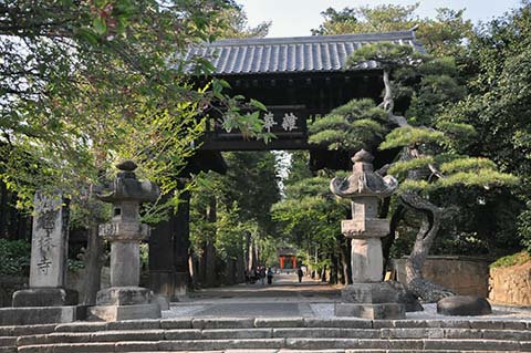 恵林寺総門画像