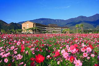 鹿鳴温泉酒店とお花畑の画像
