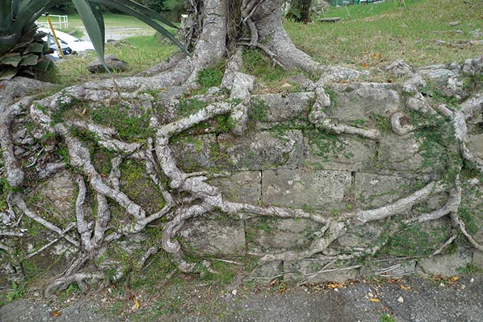 中城城跡 石垣画像