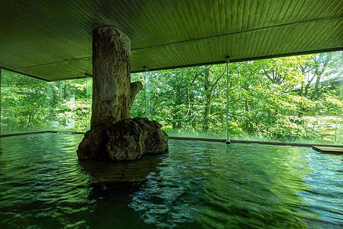 田沢湖高原温泉郷 亀の井ホテル田沢湖 大浴場画像