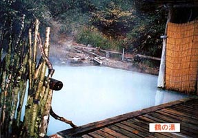 鶴の湯露天風呂夜景画像