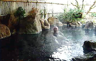 板小塚温泉スパウッド観光ホテル露天風呂画像