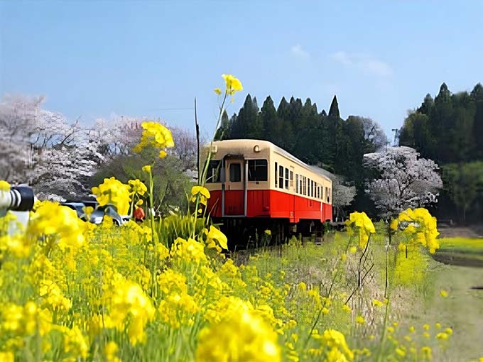 小湊鉄道画像