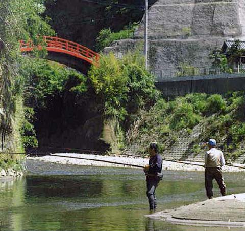養老渓谷 観音橋と渓流釣り画像