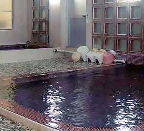 磐梯熱海温泉 共同湯「霊泉」元湯 浴槽画像