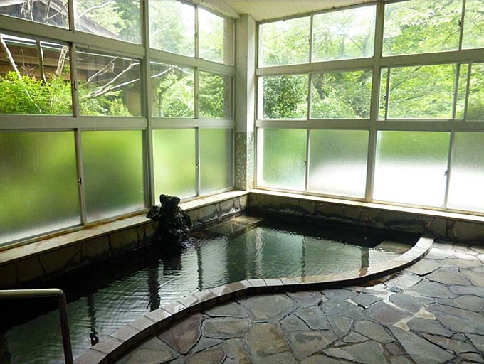 川中温泉 かど半旅館 内湯画像