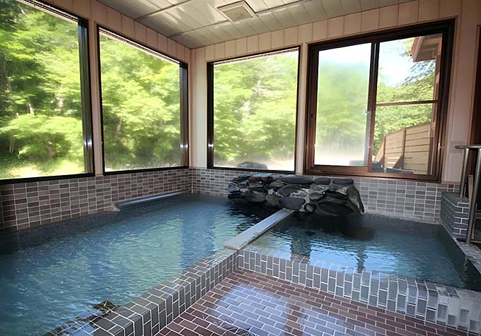 芽登温泉 芽登温泉ホテル 内湯画像