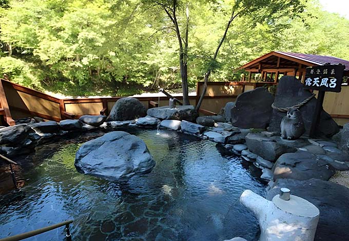 芽登温泉 芽登温泉ホテル 露天風呂画像