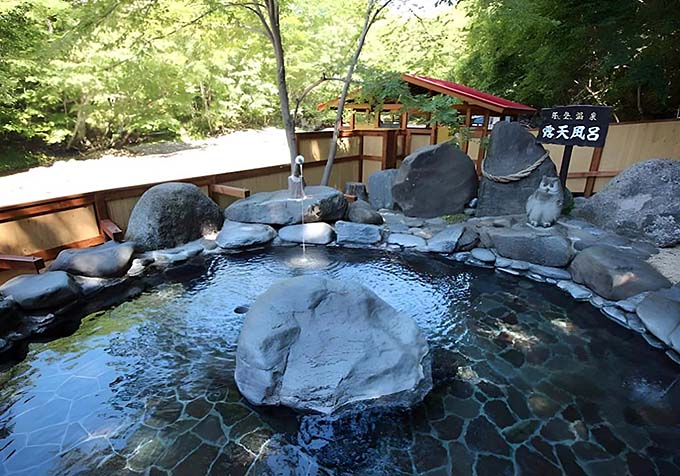 芽登温泉 芽登温泉ホテル 露天風呂画像