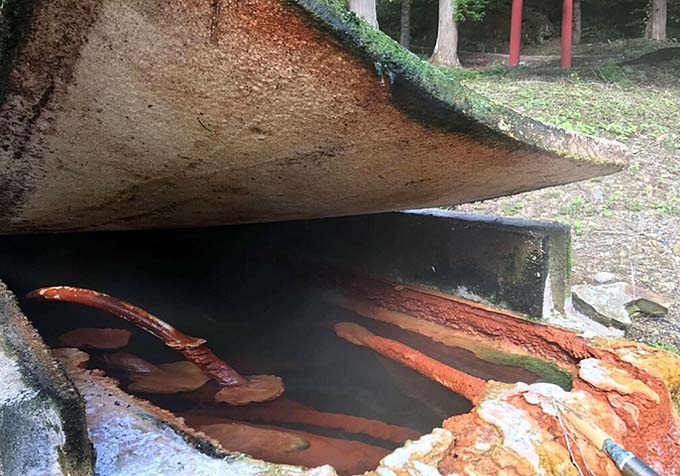 知内温泉 ユートピア和楽園 知内温泉旅館 源泉画像