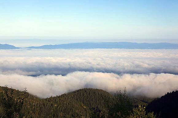 十勝岳温泉 カミホロ荘 雲海画像