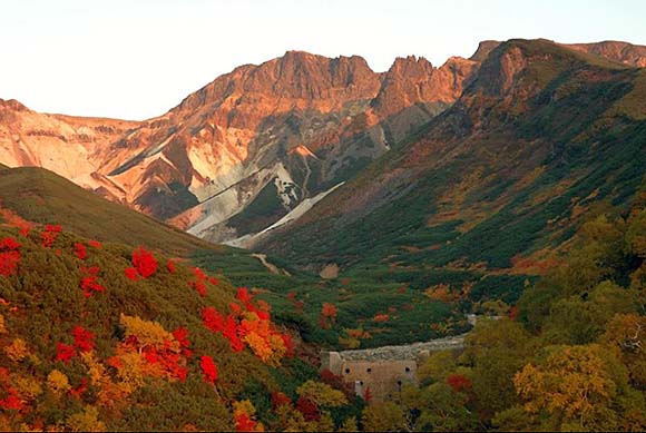 紅葉の十勝岳画像