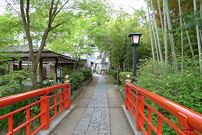 竹林の道入口画像