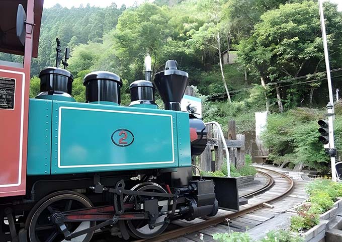 馬路森林鉄道 SL画像