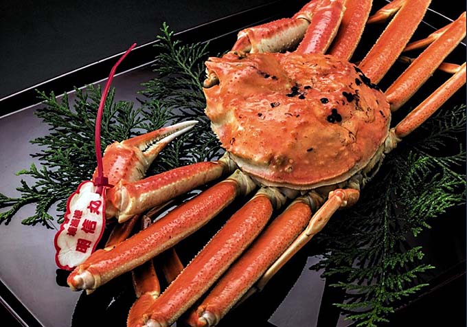 夕日ヶ浦温泉 一望館はなれ櫂 松葉ガニ画像