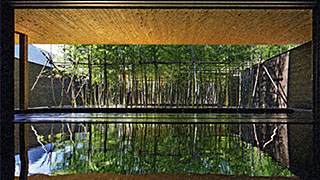 片岡温泉 竹林を望む大浴場画像