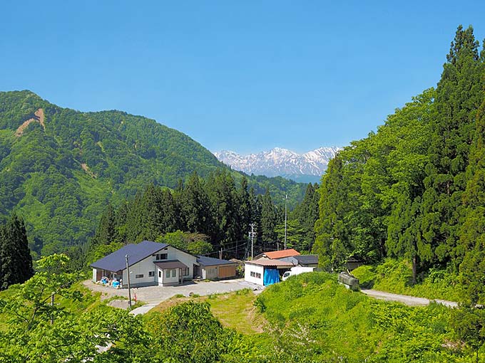 奉納温泉 全景画像