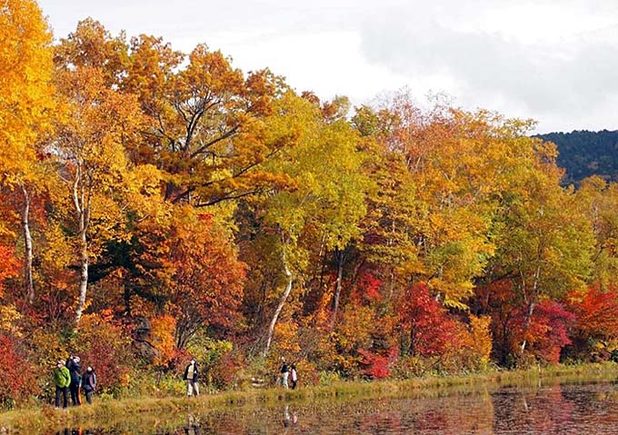 志賀高原の紅葉画像
