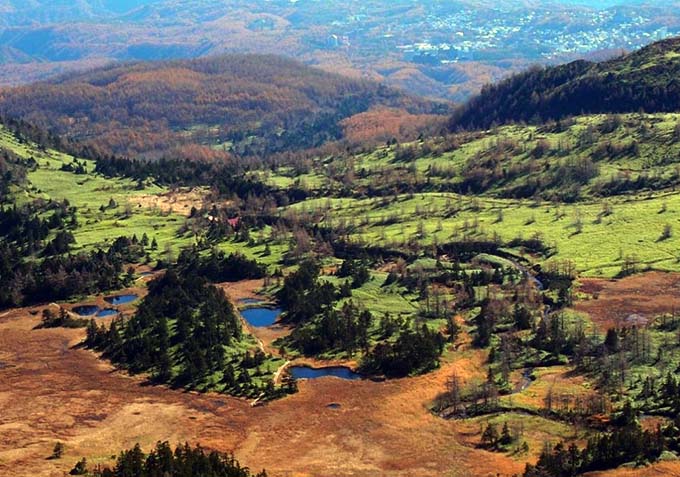 志賀高原の湿原画像