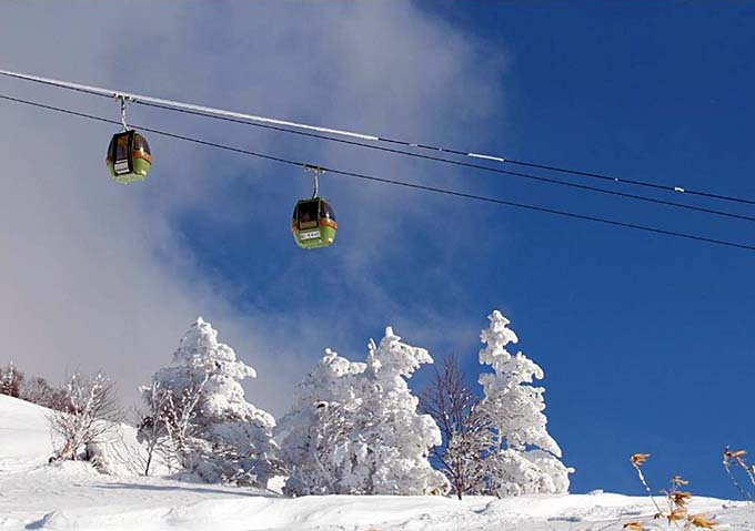 志賀高原の雪景色画像