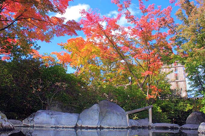 春日温泉 自然体験リゾート かすがの森 秋の紅葉イメージ画像