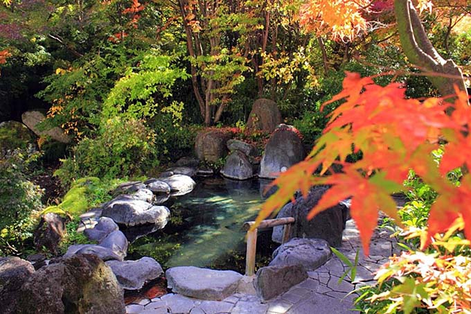 春日温泉 自然体験リゾート かすがの森 露天風呂画像