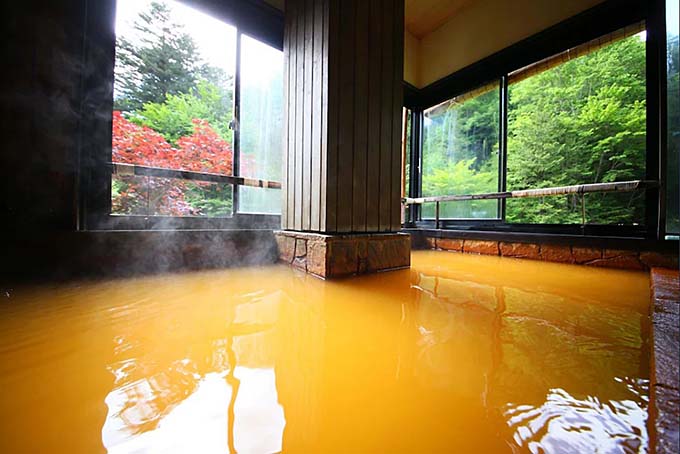 山の宿 明治温泉 御射鹿の湯 半露天風呂画像