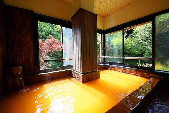 山の宿 明治温泉 御射鹿の湯 半露天風呂画像