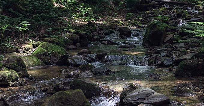 奥裾花温泉 鬼無里の湯ホテル＆コテージ 源泉の渓谷画像