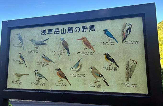 浅草岳山麓の野鳥説明版画像