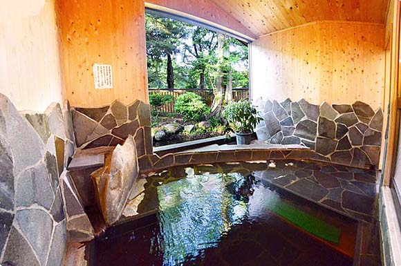 越後田中温泉 しなの荘 大浴場画像