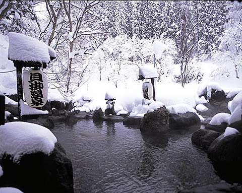 貝掛温泉露天風呂冬景色画像
