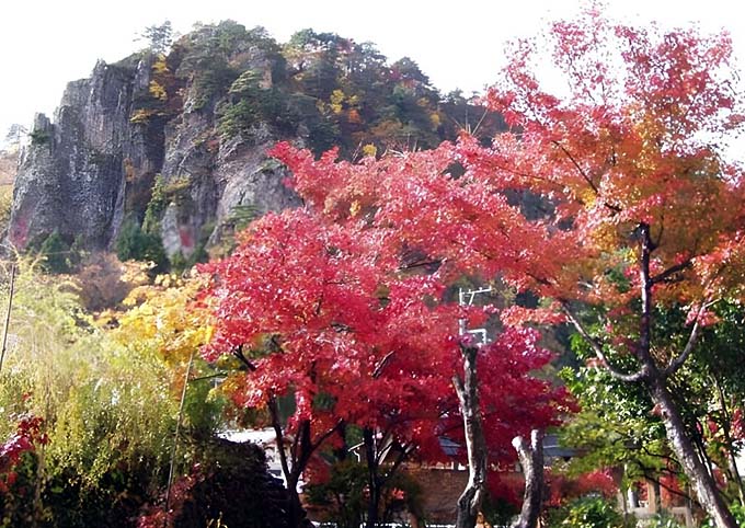 紅葉の麒麟山画像