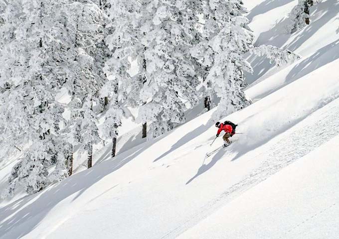 石打丸山スキー場 スキー画像