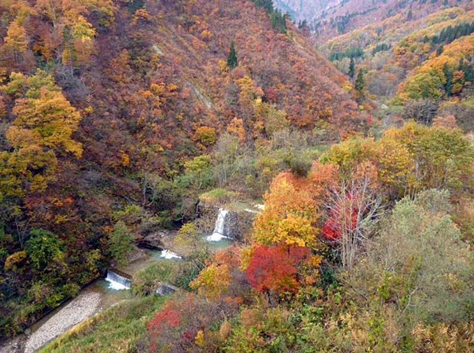 紅葉の渓谷画像