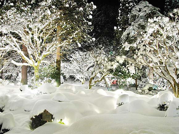 村杉温泉 風雅の宿 長生館 雪景色画像