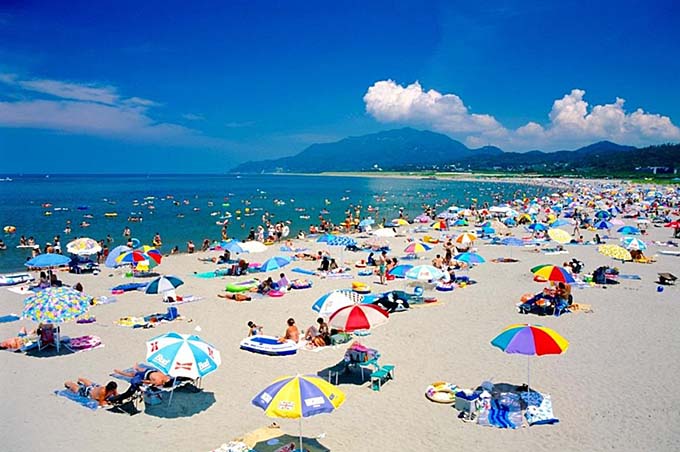 夏の寺泊海岸 海水浴画像