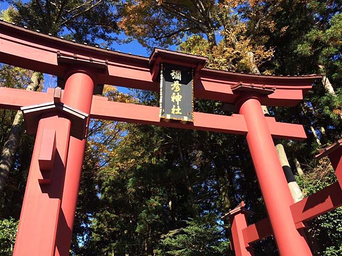 弥彦神社 鳥居画像