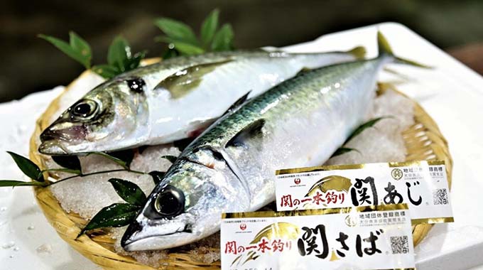 宇佐温泉 グッドステイみずほ 関あじ・関さば画像