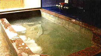 池田ラジウム鉱泉内湯画像