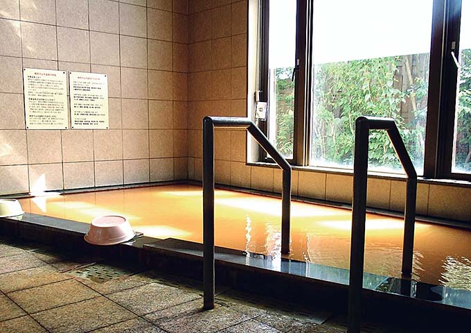 頓原天然炭酸温泉 ラムネ銀泉 源泉浴槽画像