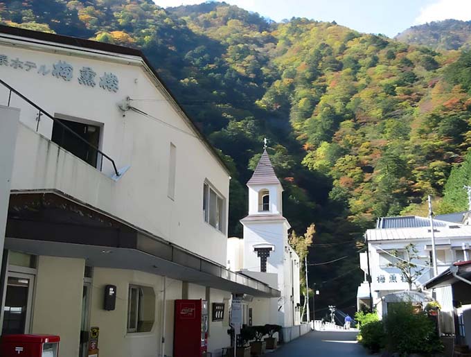 梅ヶ島温泉ホテル 梅薫楼 外観画像