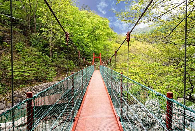 日光国立公園 川俣温泉 蔵 吊り橋画像